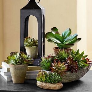 Pottery Barn Faux Succulent & Stone Arrangememt